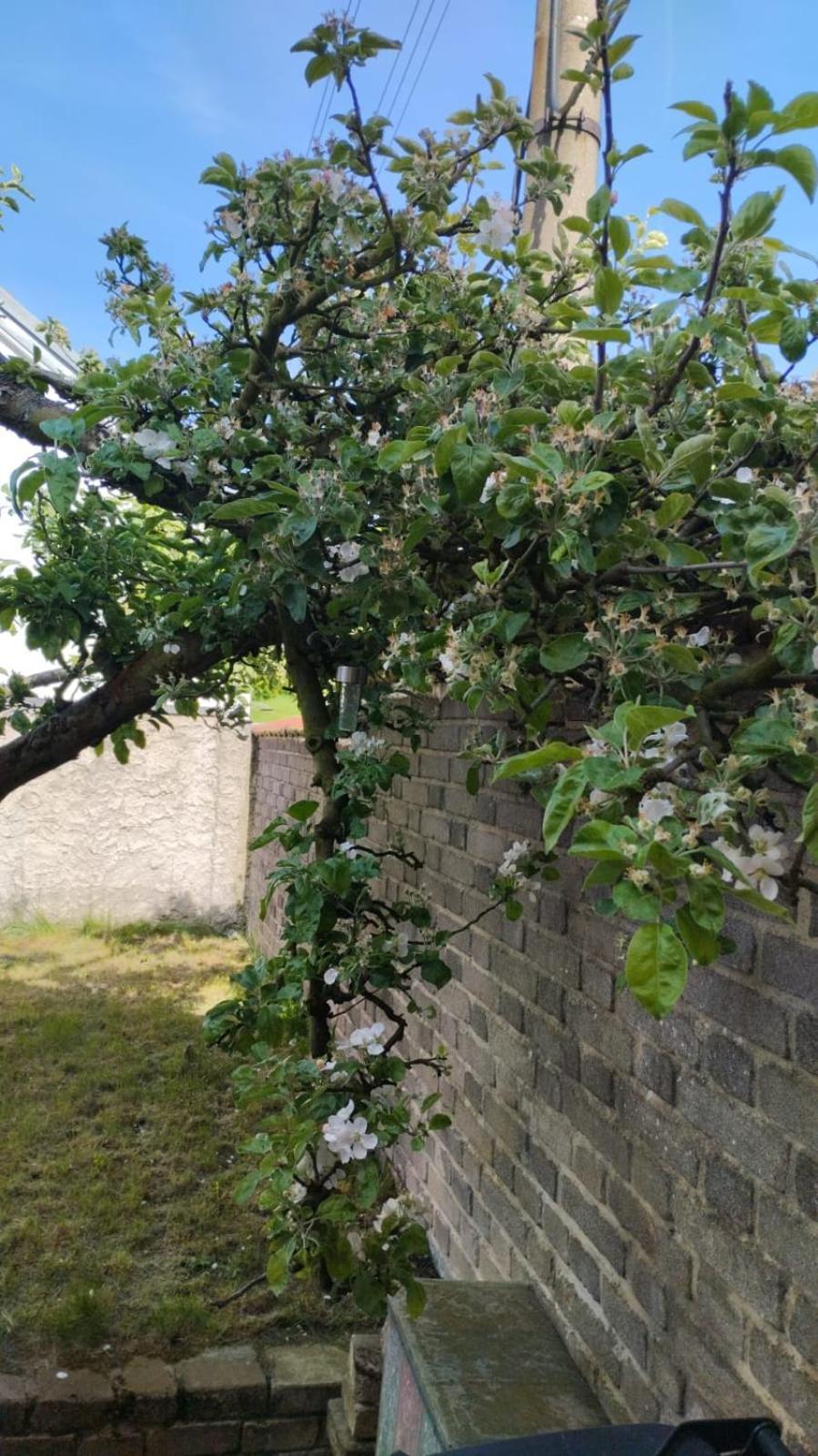Podkroví s koupelnou Svinarov Exterior foto